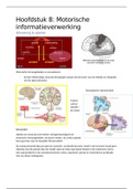 Neuroanatomie en -pathologie: Hoofdstuk 8 Motorische informatieverwerking