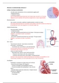 Samenvatting Medische en tandheelkundige vakkennis 4
