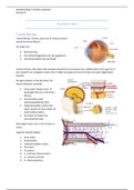 Samenvatting theorie