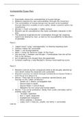 Vulnerability Essay Plan