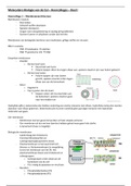 Samenvatting MBoC HC - deel I - BMW33416 (2019-2020)