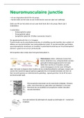 Hoofdstuk 16: Neuromusculaire junctie en actiepotentiaal in sarcoplasmatisch reticulum