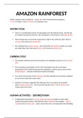 Amazon Rainforest - Water & Carbon Cycle