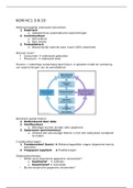 Samenvatting KOM statistiek (hoorcolleges + boek)