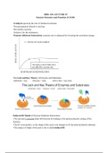 BIOL 101 - Enzyme Structure and Function