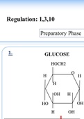 Glycolysis Poster