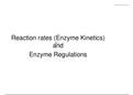 Enzyme kinetics