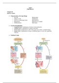 BIOS251 Final Exam review ( 2 New Versions, 2020), BIOS251 Midterm exam Review ( 2 New Versions, 2020): Anatomy and Physiology I: Chamberlain College of Nursing (SATISFACTION GUARANTEED, Check REVIEWS of my 1000 Plus Clients)