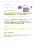 adrenal medulla