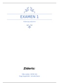 Examen hulpvraag analyseren