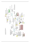 Attachment mind map (What is an attachment and how is it measured?) for A-level Psychology