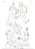 Biological Psychology Mind map for A-level Psychology