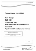 BLG1501assignmdnt2 memorandum