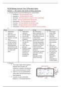 IGCSE Biology notes 