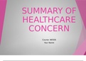 NR 506 Week 7 Assignment, Summary of Healthcare Concern Presentation.