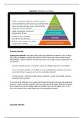 Piramide van Maslow