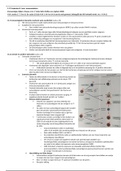 3.16-3.17 Immunologie H14  auto-immuunziekten