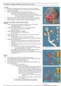 3.16-3.17 MKA H7 speekselklierafwijkingen