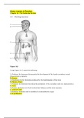 TEAS TEST 101 Chapter 16 The Endocrine System Worksheet _ & Multiple Questions & Answers) Summer 2020: SATISFACTION GURANTEED 100%