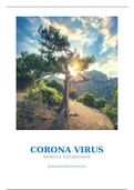 Verslag over de Corona Virus