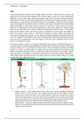 Unit 12 Physiology of Human Regulation and Reproduction Assignment 2 Merit