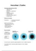 Samenvatting hoorcollege Optond 2 jaar 1