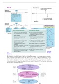 Summary English Global Marketing part IV E-phase 1 IB(L)