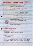 STUDY UNIT 4: MEMBRANE STRUCTURE AND FUNCTION