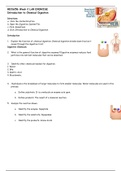 BIOS256 Week 2 LAB EXERCISE   Introduction to Chemical Digestion.