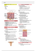 Nursing:Integumentary System