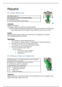 samenvatting palpatie anatomie 2