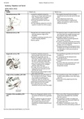 Anatomy_ Palpation List Term2 (CHAMBERLAIN) YEAR 2016. WAS HELPFUL IN MY FINALS. GOOD LUCK