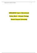 NRS428VN Topic 4 Benchmark – Policy Brief – Climate Change