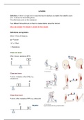 Kinematic terms describing human movement (Biophysical domain)