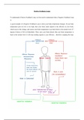 Positive and Negative Feedback Loops - WITH DIAGRAMS