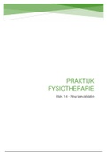 Praktijk Fysiotherapie - Onderzoek en Behandeling (blok 1.4)