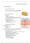 CELBIOLOGIE  II SAMENVATTING