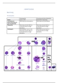 Samenvatting Hematologie en Oncologie (literatuur en colleges) uitgebreid