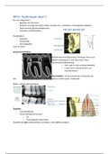 Radiologie jaar 1 deel 1
