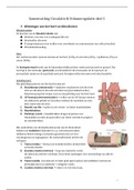 Circulatie & volumeregulatie_literatuursamenvatting