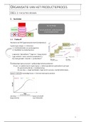 Samenvatting organisatie van het productieproces