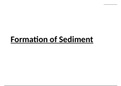 All Notes for Chapter 3: Sedimentary Rocks and Processes