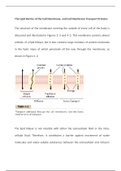 MEMBRANE PHYSIOLOGY