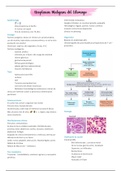 Neoplasias Malignas del Estomago (Cáncer Gástrico)