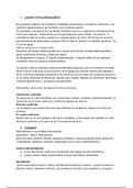 CLASE 12: Sistema Nervioso II: Sistema Ventricular. Liquido Cefaloraquideo. Cérebro: Hemisférios Cerebrales (Configuración Externa e Interna). Áreas de Brodman