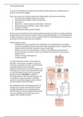 Reumatoide artritis