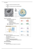 Samenvatting Genetica 