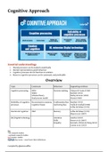 IB Psychology Cognitive Approach notes SL/HL