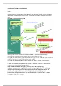 Samenvatting Arbeidsrecht Ontslag en Werkeloosheid 