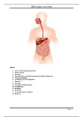 MBZ - Morbus Crohn